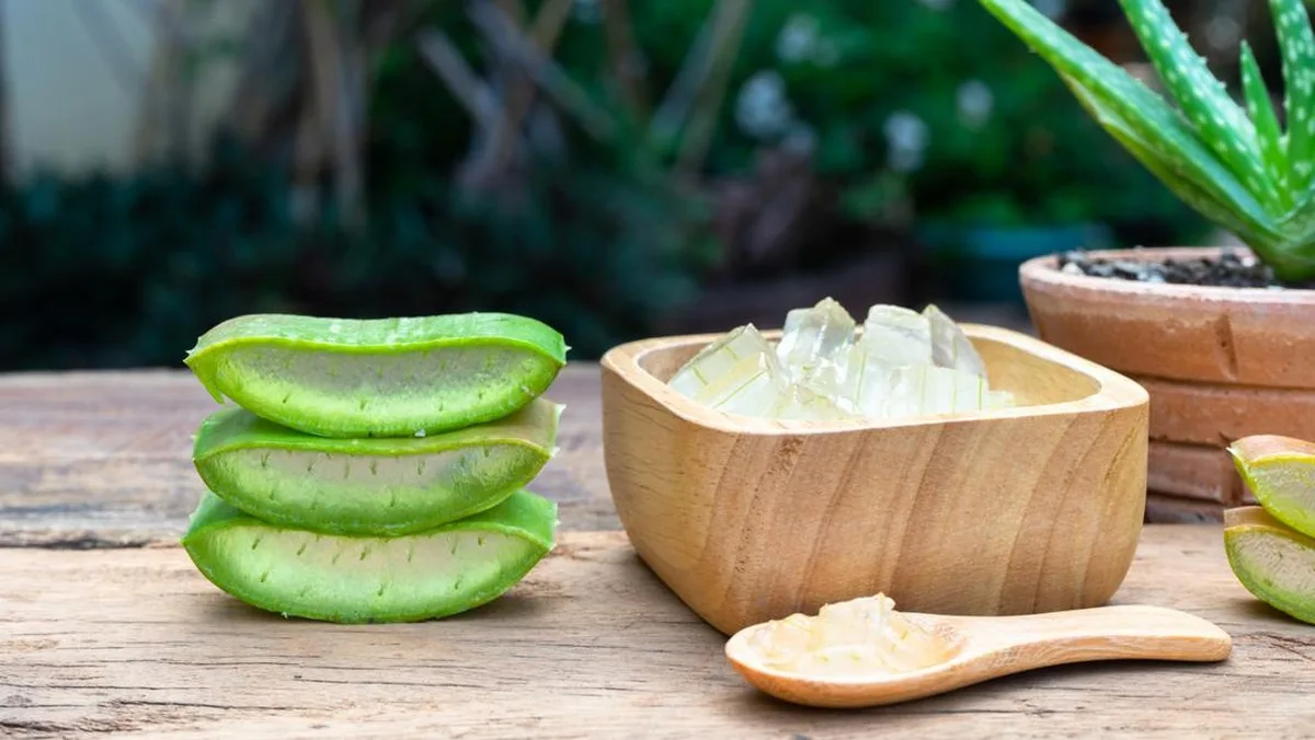 lidah buaya untuk wajah: Merawat Kulit Glowing: Langkah Lanjutan Setelah Rutin Lidah