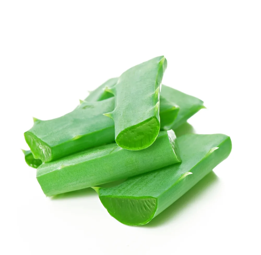 lidah buaya untuk wajah: Aloe Vera Redakan Bruntusan: Panduan Pemakaian untuk Kulit