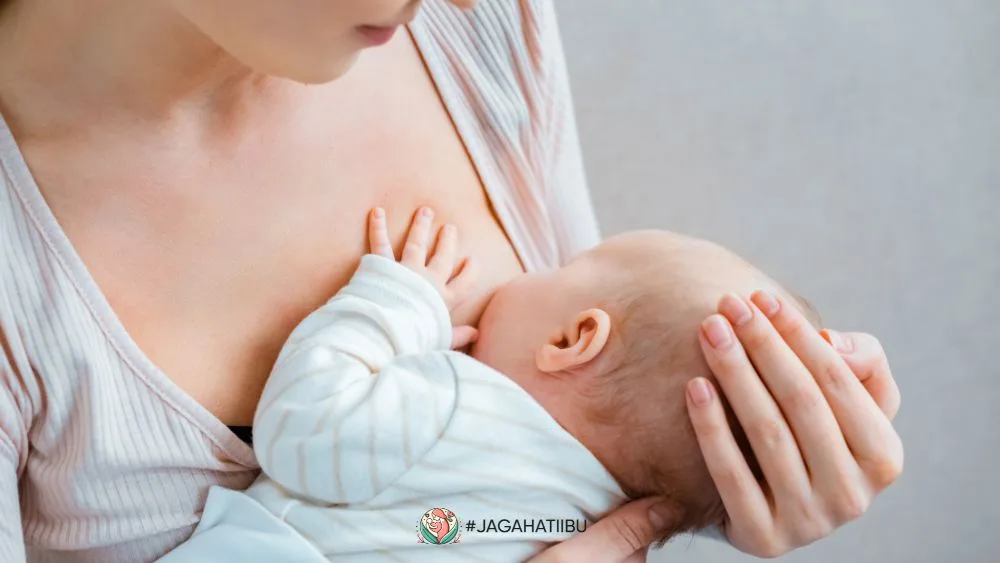 merawat payudara saat menyusui: Tips Merawat Kesehatan Payudara bagi Ibu Menyusui Sesuai