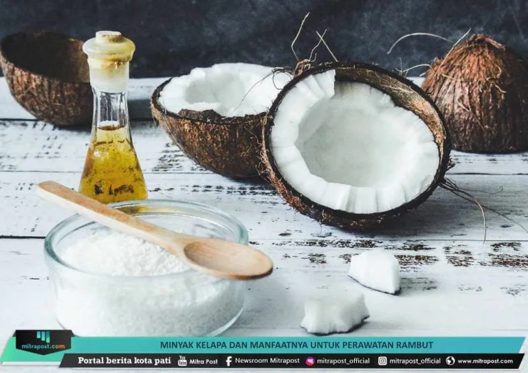 minyak kelapa untuk rambut - Cara Pakai Minyak Kelapa sebelum Keramas yang Benar dan