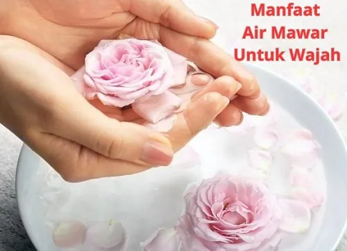 air mawar untuk wajah