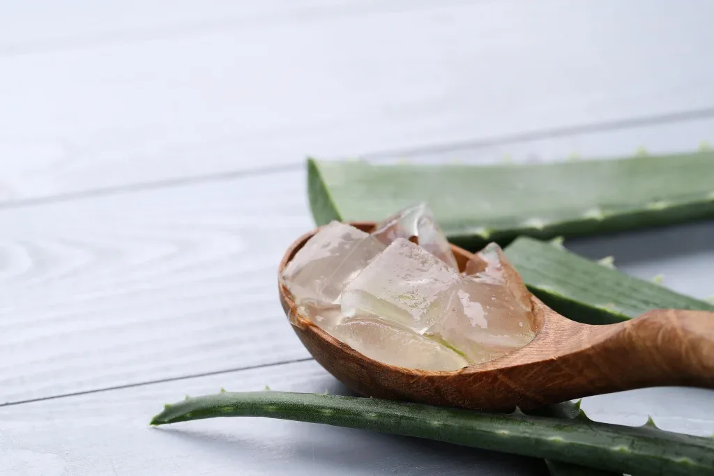 lidah buaya untuk wajah: Merawat Kulit dengan Bijak dan Berkelanjutan