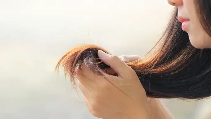 rambut bercabang