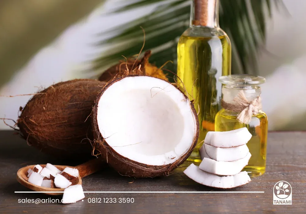 minyak kelapa untuk rambut: Rangkuman dan Langkah Awal untuk Anda