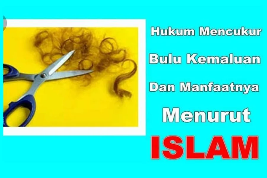 membersihkan bulu kemaluan sunnah - Adab Thaharah Wanita sebelum dan sesudah Merapikan Area