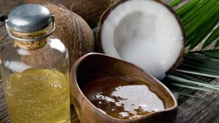 minyak kelapa untuk rambut: Risiko dan Kesalahan Umum saat Menggunakan Minyak Kelapa