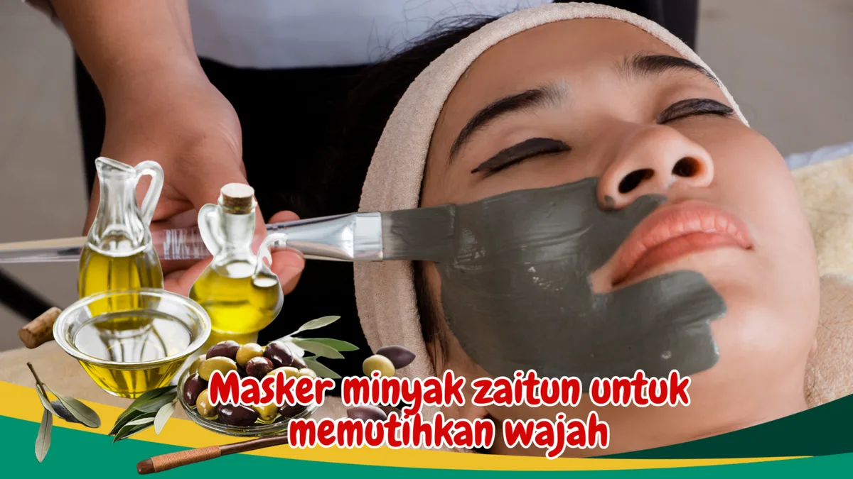 manfaat minyak zaitun untuk wajah: Kandungan Aktif Minyak Zaitun yang Bekerja pada Kulit Wajah