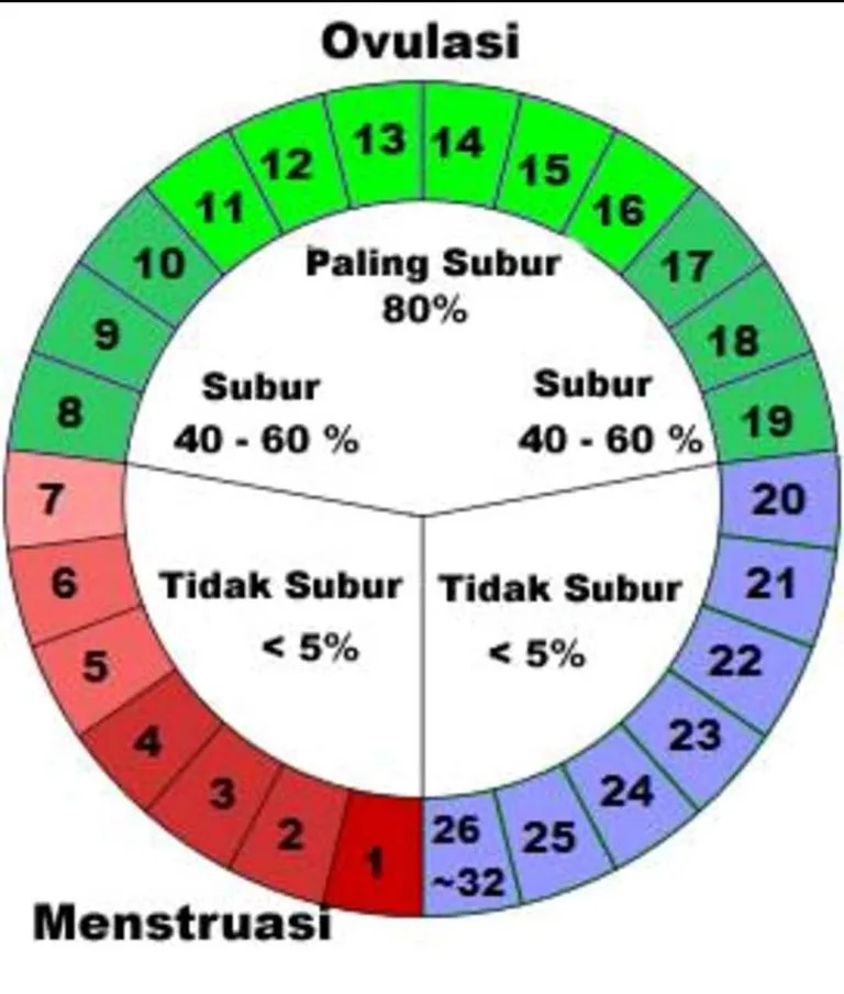 Cara Menghitung Masa Subur Setelah Haid Secara Tepat dan