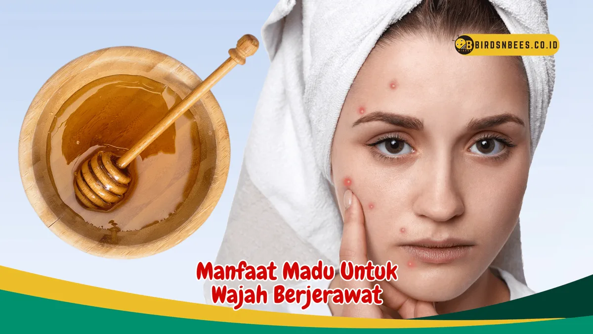 manfaat madu untuk wajah - Khasiat Keempat: Membantu Regenerasi Kulit dan Menyamarkan