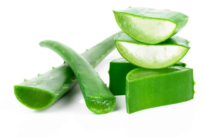 Kenapa Lidah Buaya untuk Wajah Layak Masuk Rutinitas Harian