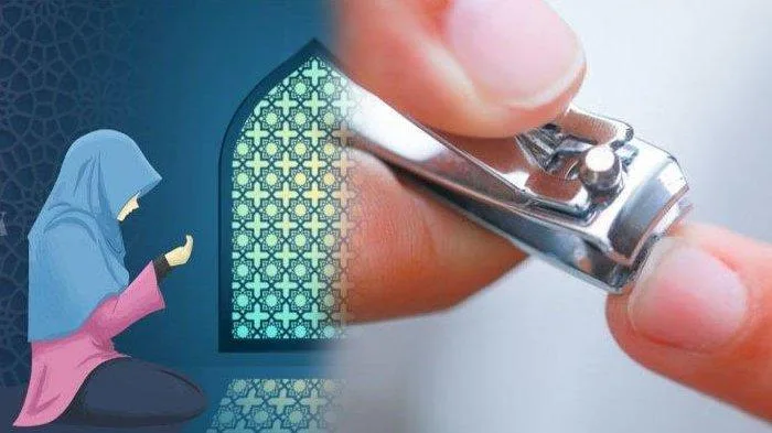 adab memotong kuku dalam islam: Urutan Potong Kuku Sunnah yang Dianjurkan Para Ulama