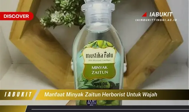 manfaat minyak zaitun untuk wajah