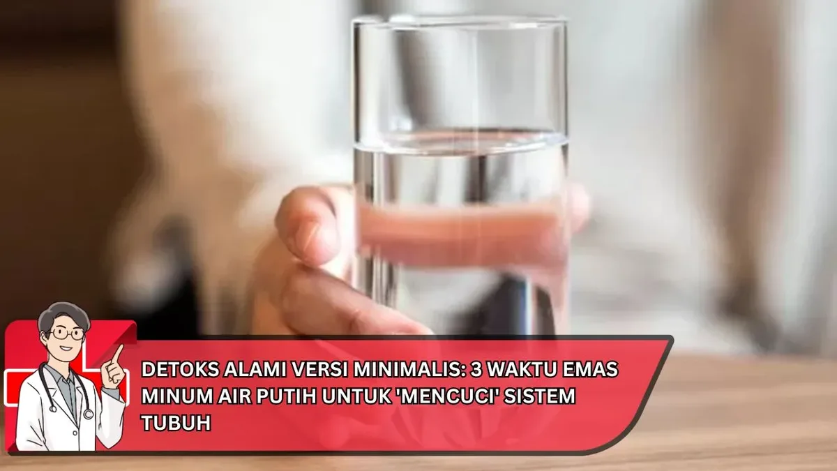 detoks tubuh dengan air nabeez