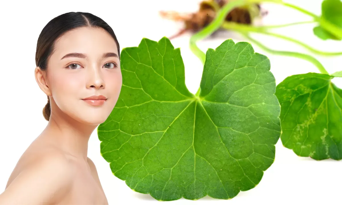 Rutinitas Skincare Centella Asiatica untuk Kulit Berjerawat