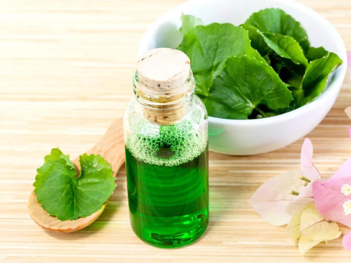 centella asiatica untuk kulit