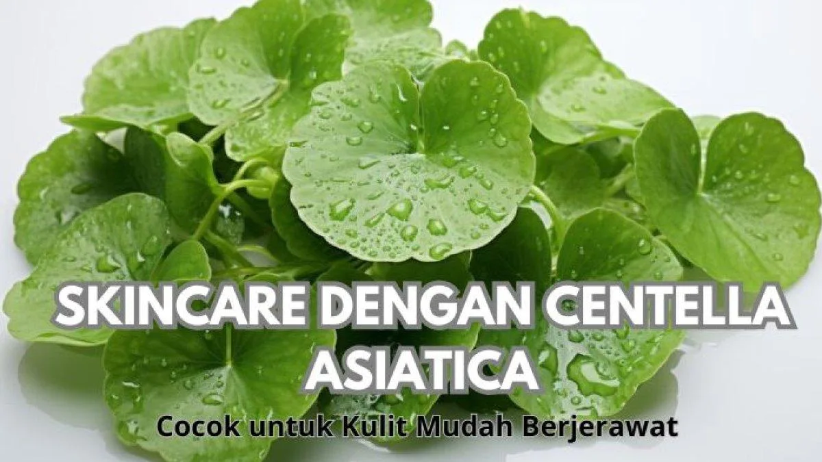 centella asiatica untuk kulit: Sudut Pandang Praktisi: Apa yang Jarang Dibahas?