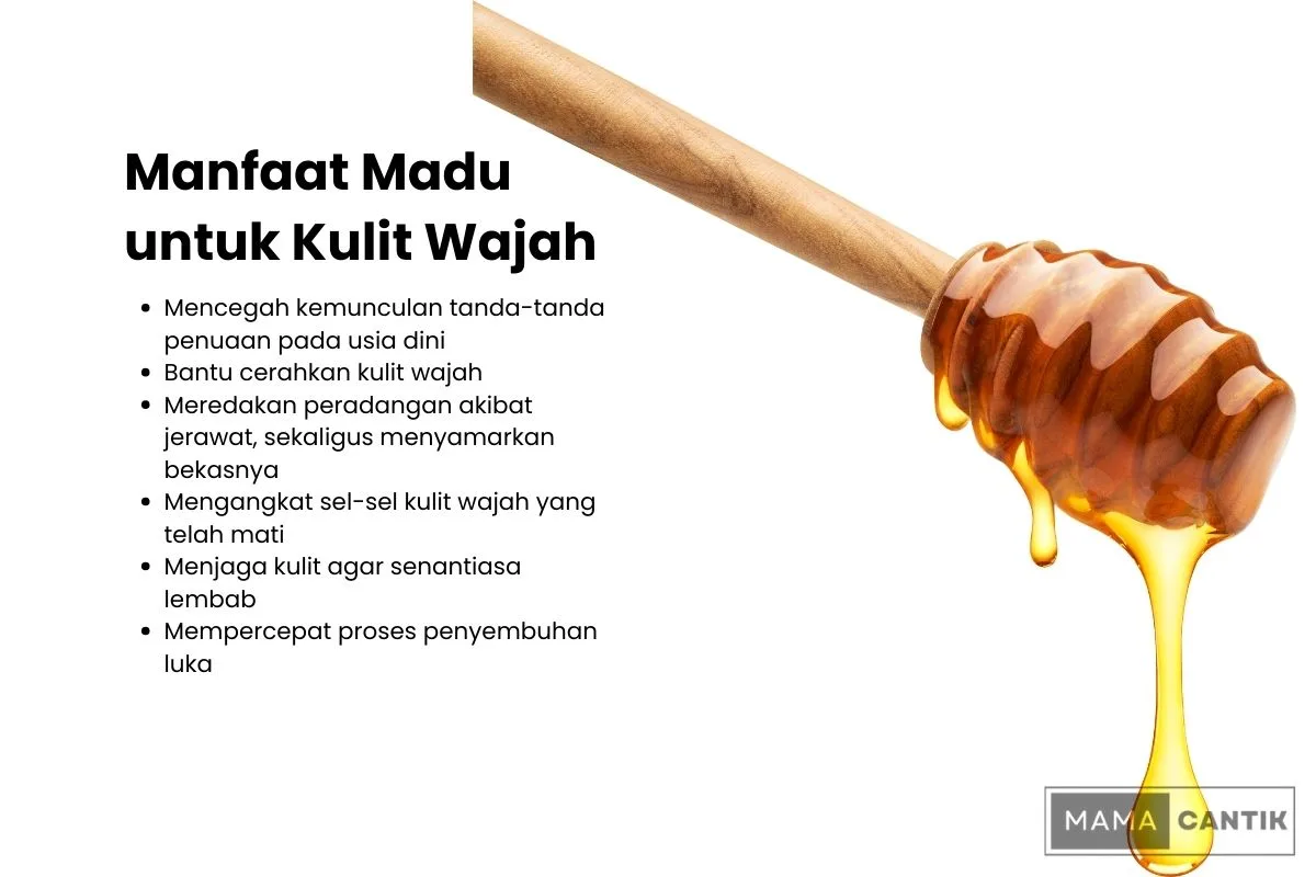 manfaat madu untuk wajah
